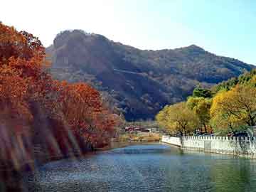 新澳天天开奖资料大全旅游团，异地搬家